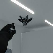 Spiderjfif — gorilla tag ghosts option 7