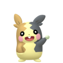 Morpeko Full Belly Spritepng — All Electric Type Pokemon 2023 option 46
