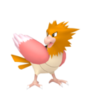Spearow Sprite — All Flying Type Pokemon 2023 option 107