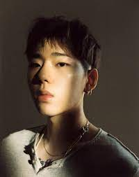 Zicojpg — Korean Rapper Tier List option 139