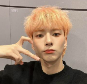 Screen Shot 2023 02 28 At 11809 Pmpng — ode hairstyle/colour rating option 6