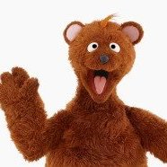 Baby Bearjpeg — Sesame Street Muppets Ultimate List option 2