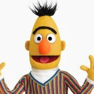 Bertjpeg — Sesame Street Muppets Ultimate List option 3