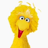 Big Birdjpeg — Sesame Street Muppets Ultimate List option 5