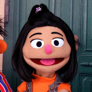 Ji Youngjpeg — Sesame Street Muppets Ultimate List option 14