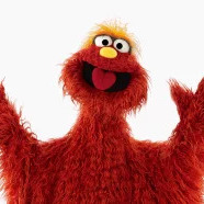 Murrayjpg — Sesame Street Muppets Ultimate List option 18