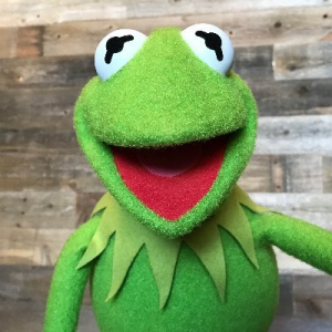 Zzzzz 1678237951kermitjpeg — Sesame Street Muppets Ultimate List option 34