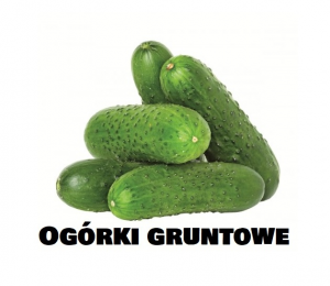 Ogorek Gruntowyjpg — Ogórki tier lista option 7