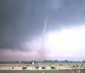 Ropenadopng — Tornado Types option 17