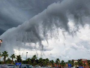 Slcspng — Tornado Types option 20