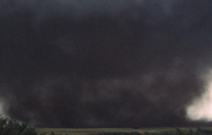 Wedgenadopng — Tornado Types option 30