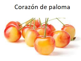 Corazn De Paloma Gosjpg — Tier List Frutas D E F I N I T I V O option 7