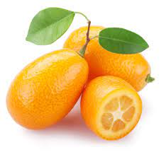 Kumquatjpeg — Tier List Frutas D E F I N I T I V O option 17