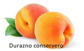 Zzzzz 1678453264durazno Conservero Godjpg — Tier List Frutas D E F I N I T I V O option 51