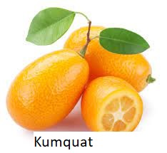 Zzzzz 1678453264kumquat Godjpg — Tier List Frutas D E F I N I T I V O option 58