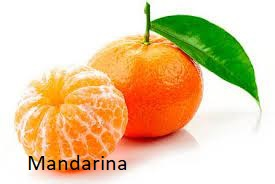 Zzzzz 1678453264mandarina Godjpg — Tier List Frutas D E F I N I T I V O option 62