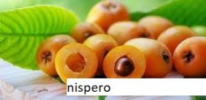 Zzzzz 1678453264nispero Godjpg — Tier List Frutas D E F I N I T I V O option 67