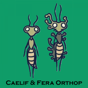 Zzzzz 167935821113caelif And Fera Orthopjpg — Assigning Every Hollow Knight Character A Pokémon Type option 224