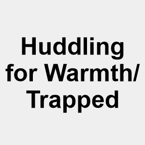 Huddling For Warmth Trappedpng — Fanfic Tropes/Types (non-explicit) option 30