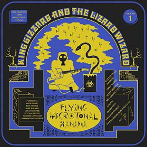Flyingmicrotonalbananajpg — King Gizzard & The Lizard Wizard (KGLW) Albums 2012-2022 option 5