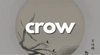 Zzzzz 1680087579crowpng — svt discography tier list option 100