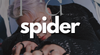 Zzzzz 1680087603spiderpng — svt discography tier list option 102