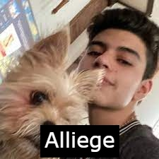 Alliegejpgpng — Twitch LATAM 2023 1.1 option 7