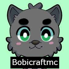 Bobicraftmcjpgpng — Twitch LATAM 2023 1.1 option 16