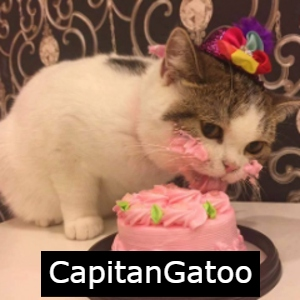 Capitangatoojpgpng — Twitch LATAM 2023 1.1 option 19