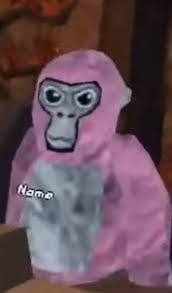66af65b6 B0bc 42ad 94b0 97bb32761ed9 — Gorilla Tag Ghosts option 3