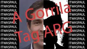 E4c5a0f1 5ec8 4fa1 983a Bc389b48f66f — Gorilla Tag Ghosts option 9