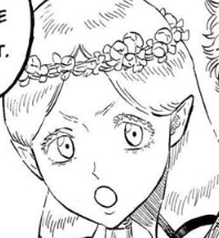 Screenshot 2023 05 31 003231 — Black Clover - Characters option 105