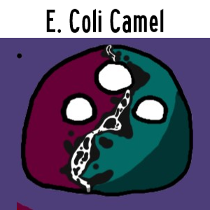 Zzzzz 1693441786eccamelball — New Polcompball Tier List 3 option 105