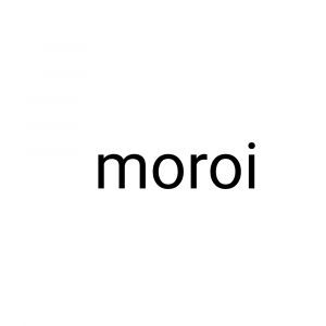 Moroi — Phasmophobia Ghost Types option 8