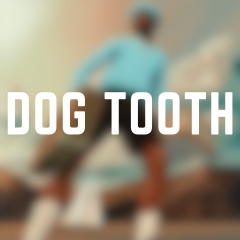 Dog Tooth — CALL ME IF YOU GET LOST: The Estate Sale (FULL ALL SONGS) option 4