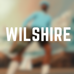 Wilshire — CALL ME IF YOU GET LOST: The Estate Sale (FULL ALL SONGS) option 24