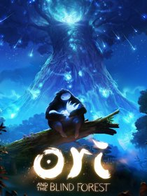 460619igdb 210x280 — Juegos de Staryuuki option 47