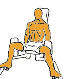 Abductor — TIERLIST TREN INFERIOR + ABDOMEN CREATINE BOYS option 1