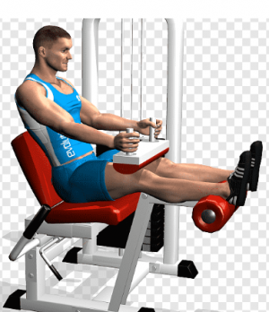 Curl Femoral — TIERLIST TREN INFERIOR + ABDOMEN CREATINE BOYS option 5
