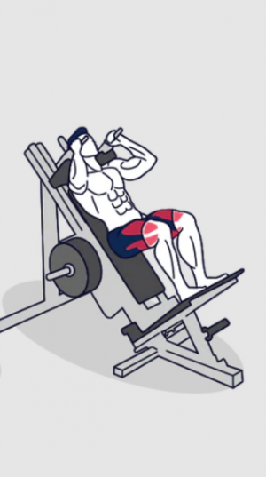 Hack Squat — TIERLIST TREN INFERIOR + ABDOMEN CREATINE BOYS option 10