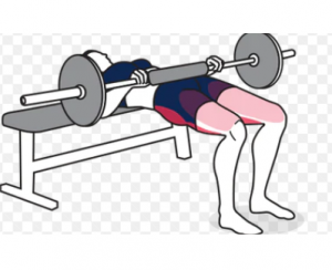 Hipt Thrust — TIERLIST TREN INFERIOR + ABDOMEN CREATINE BOYS option 11