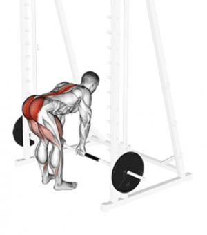 Peso Muerto Smith — TIERLIST TREN INFERIOR + ABDOMEN CREATINE BOYS option 13