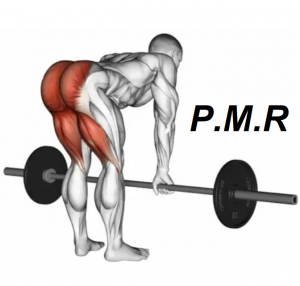 Peso Muerto — TIERLIST TREN INFERIOR + ABDOMEN CREATINE BOYS option 14