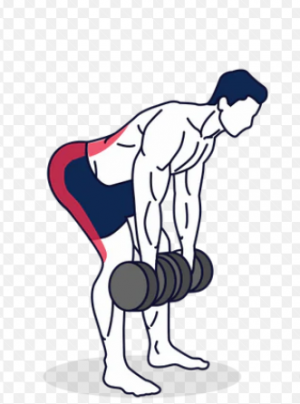 Pmr Manc — TIERLIST TREN INFERIOR + ABDOMEN CREATINE BOYS option 16
