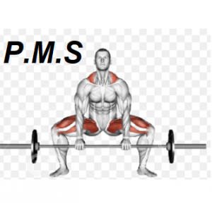 Pms — TIERLIST TREN INFERIOR + ABDOMEN CREATINE BOYS option 17