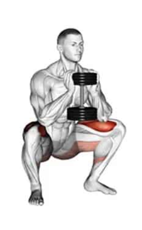 Sentadilla Manc — TIERLIST TREN INFERIOR + ABDOMEN CREATINE BOYS option 29