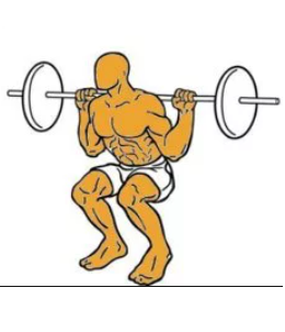 Squat Libre — TIERLIST TREN INFERIOR + ABDOMEN CREATINE BOYS option 30