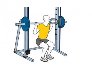 Squat Smith — TIERLIST TREN INFERIOR + ABDOMEN CREATINE BOYS option 31