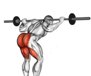 Zzzzz 1681789572screenshot9 — TIERLIST TREN INFERIOR + ABDOMEN CREATINE BOYS option 38