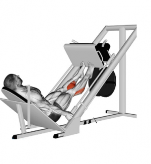Zzzzz 1681790194sin Ttulo — TIERLIST TREN INFERIOR + ABDOMEN CREATINE BOYS option 43